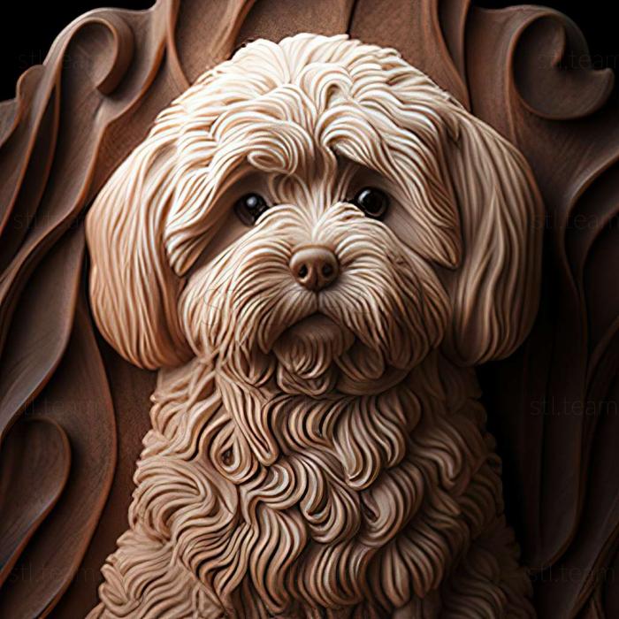 3D model Bolognese dog (STL)